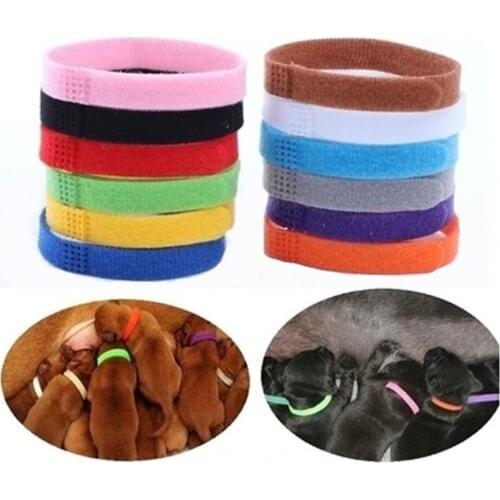 Velvet Dog Collars Adjustable Small Newborn ID Identification Collars Pet Nylon Bands Puppy Necklace Pet Dog Cat Supplies