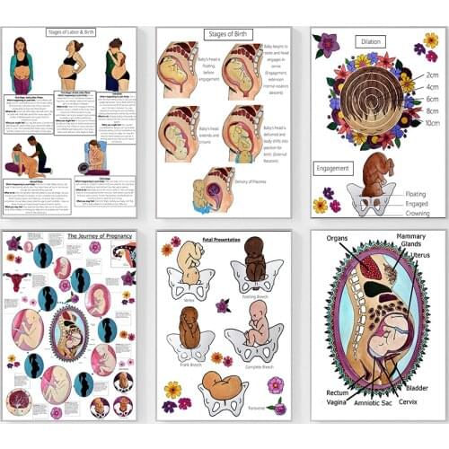 Digital Labor and Childbirth Education Post Poster Midwife Childbirth Baby Birth Print Canvas Painting Wall Art Nordic Decor