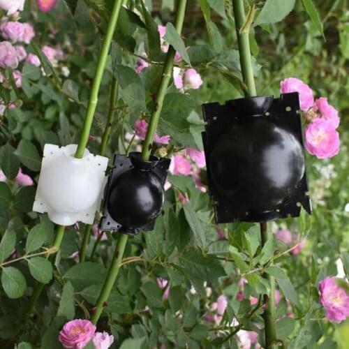 5PCS S M L Plant Rooting Ball Grafting Rooting Growing Box Breeding Case For Garden Root Plastic Flower Container Nursery Box