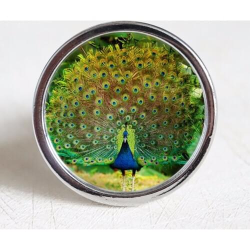 Peacock knobs / Dresser Crystal Knobs / Kitchen Cabinet Knobs Furniture Handle Pull Bling Hardware Silver Clear