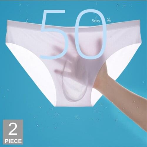 2pcs Big Size L-3XL Man Underwear Briefs Transparent Ice Silk Summer Autumn Thin Sexual Panties New Boys Sexy Wear