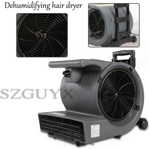 220V Commercial Hotel carpet floor Third gear blower 750W High Power Drying and Dehumidifying Hair Dryer