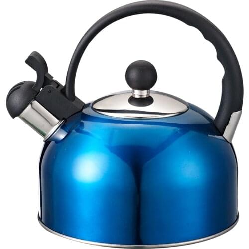 2020 Real Sale Bouilloire Chaleira Blue Stainless Steel Whistle Kettle Water Bottle With Plastic Comfortable Handle