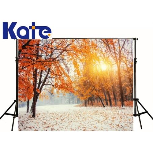 VinylBDS Photo Studio Backdrop Frozen Snow Winter Sun Fond Photographie Maple Defoliation Background Backdrop