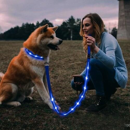 Pet Dog Running Leash Hand-held Waistworn Nylon Elastic Dog Leads for Running Jogging Night Walking Safty Dog Rope Pet Supplies