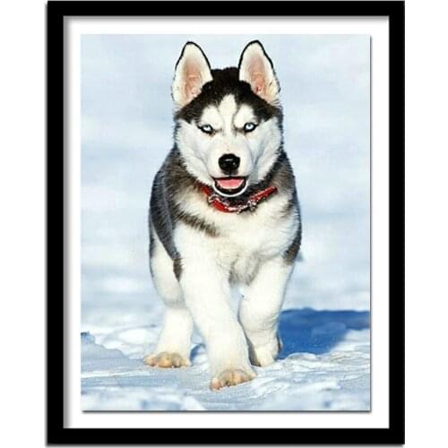 NEW DIY Snow husky 5D dog diamond full diamond embroidery needlework diamond painting cross stitch crafts home decor