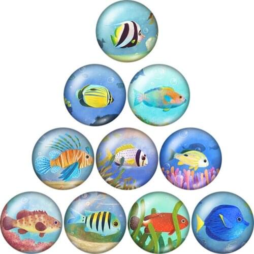 New Animals Fish Rabbit Elk 10pcs mixed 12mm/16mm/18mm/25mm Round photo glass cabochon demo flat back Making findings