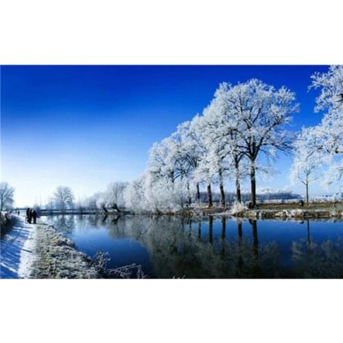 2016 Rushed Embroidery Scenic Diy Diamond Painting Party Needlework Precise Printed Snow scene series- square Diamond Embroidery