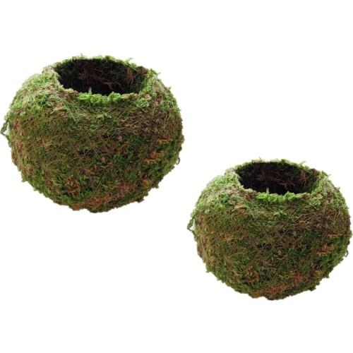 2x Natural Dry Moss Ball Bonsai Green Moss Planting Ball Flowerpot 6cm & 9cm