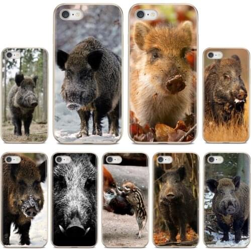 Animal Wild Boar For Samsung Galaxy J1 J2 J3 J4 J5 J6 J7 J8 Plus 2018 Prime 2015 2016 2017 EU Enjoy Silicone Phone Case