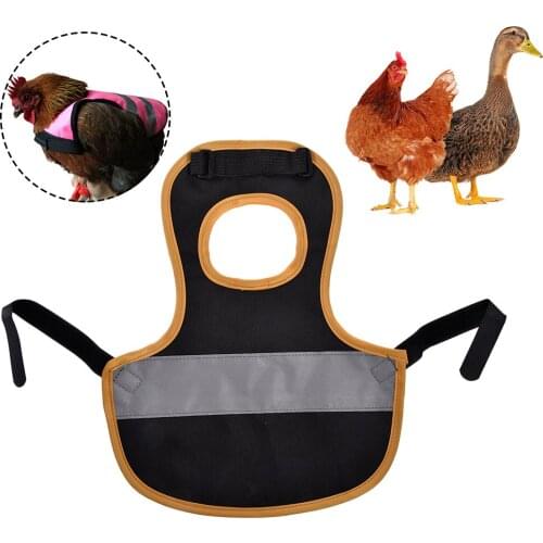 Pet Vest Chicken Poultry Clothes Hen Saddle Apron Elastic Band Adjustable Feather Protection Holder For Chicken Duck