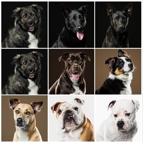 Cute Dog 5D DIY Full Diamond Painting Home Decoration Wall Art Picture Handmade Gift Animal Mosaic Sticker Diamond Embroidery