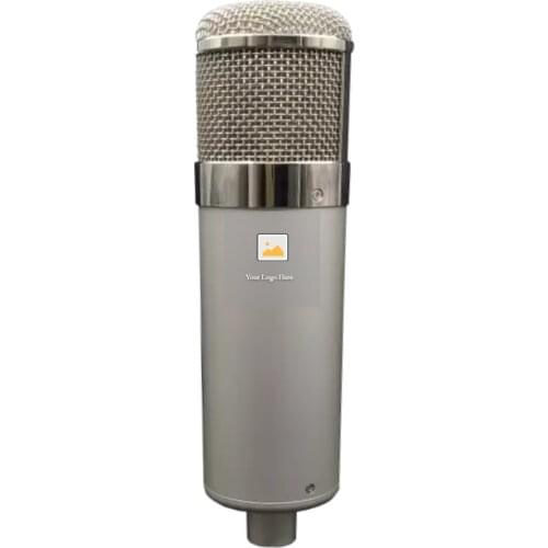 Popular DIY 34mm Gold Capsule Podcast Pro Mic Studio Recording Kit Stereo Cardioid Large Diaphragm Condenser Microphone U47