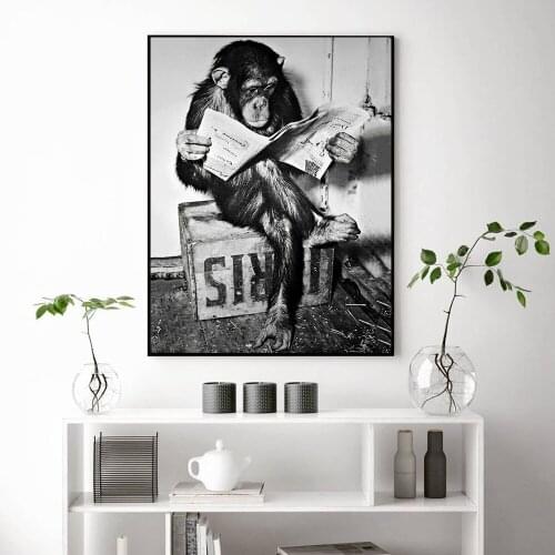 Black And White Funny Monkey Reading Newspaper Toilet Wall Art Canvas Painting Posters And Print Pictures For Living Room Decor