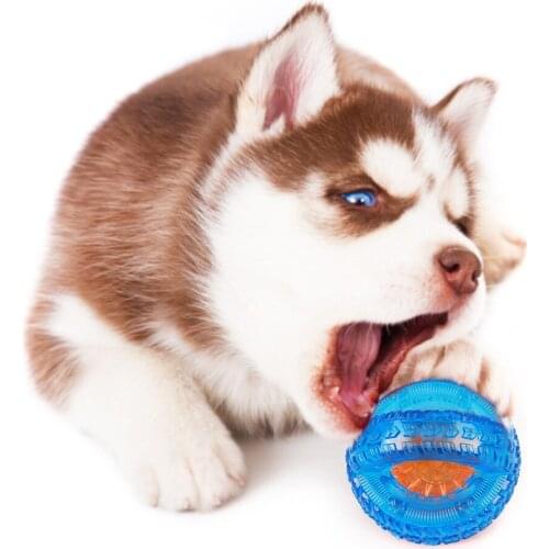 New Rubber Dog Ball Flashing Glowing Hedgehog Ball Interactive Creative Dog Puppy Cat Pet Training Bite Toy