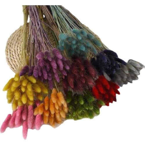 30 stems x 50/100 Bunch Vintage Macaron Color Rabbit Tail Grass Natural Decorative Dried Flowers Bunny Tail Bouquet Home Decor