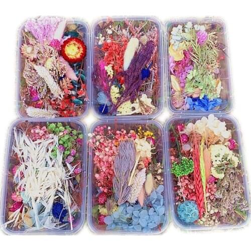 1 boîte vraie fleur séchée plantes sèches pour aromathérapie bougie résine époxy pendentif collier fabrication de bijoux artisan