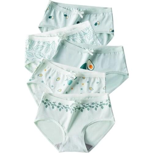 5Pcs/lot Cotton Women Panties Comfort Sexy Soft Fashion Style Print Female Breathable Underwear Seamless Girls Briefs