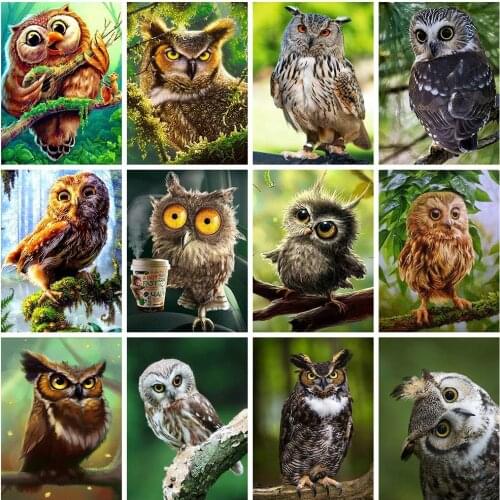 Diamond Painting Owl Full Square/Round Mosaic Embroidery Animals Picture of Rhinestones Cross Stitch Kit Home Decoration