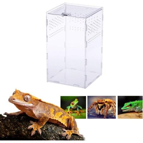 Neko Insect Feeding Box 12x12x20cm Acrylic Transparent Breeding Case for Spider Lizard Centipede Horned Frog Snake