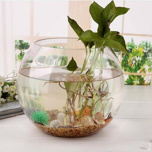 Globe Fish Bowl, Globe Fish Bowl, Fish Tank Bowl Aquarium Plant Pot Fish Bubble Aquarium Decor, Home Countertop Decor