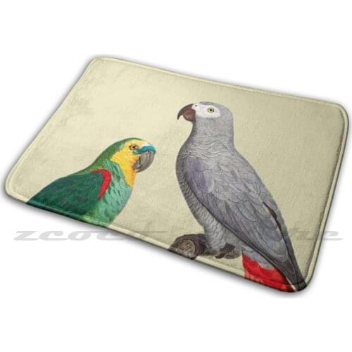 African Grey Parrot And Blue-Fronted Carpet Rug Non-Slip Water Absorb Door Mat African Grey Parrot Parrot Turquoise Fronted