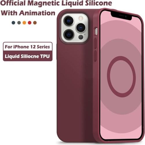 BOEYINK IPhone 12 Max
