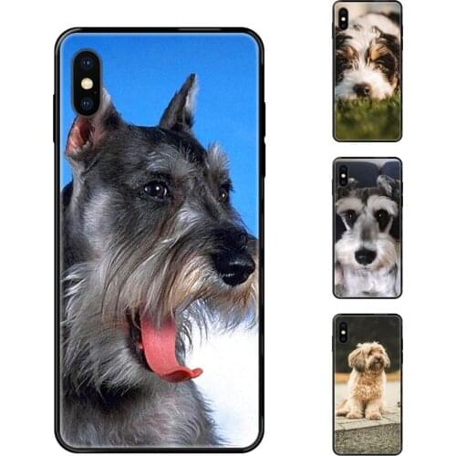 Miniature Schnauzer Dog Art Black Soft TPU Phone Cover Free For Galaxy A70 A71 A70E A5 A6 A7 A8 A10 A10S A20 A20S A20E A21S