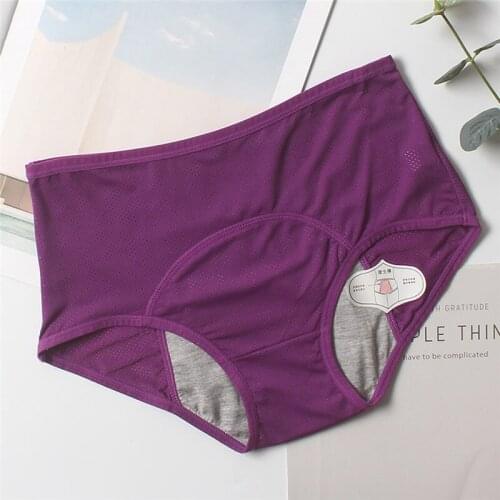 Panties Woman Sexy Seamless Briefs Menstrual Period Panties Leak Proof Feminine Hygiene Female Physiological Underwear