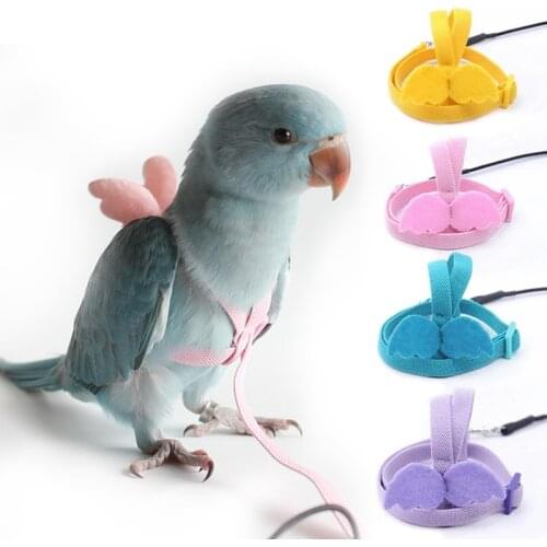 Parrot Harness and Leash Set Adjustable Outdoor Flying Training Rope With Wing for Small Medium Birds Cockatiel, Macaw, Budgie