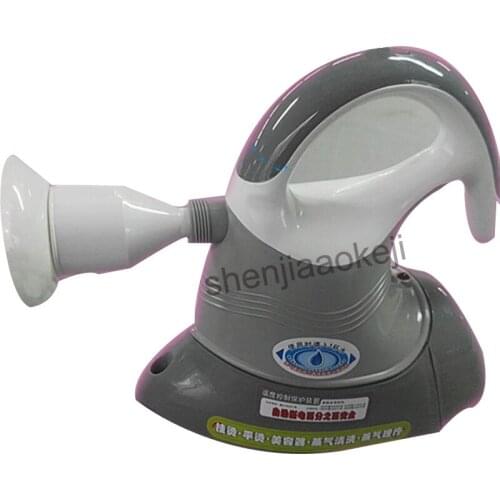 DWF-A8 Hand-held Steam Iron Brush Cleaner perm machine Household Steaming cleaning machine Steamer Face 220v 750W 1pc