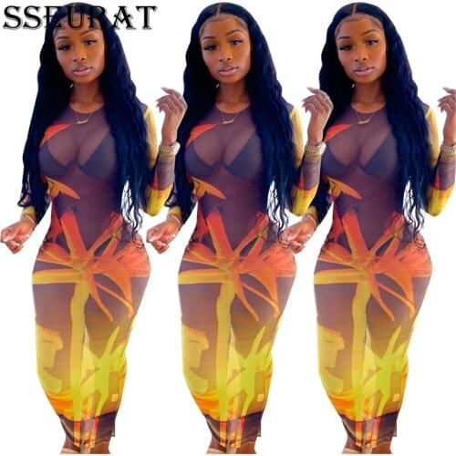 SSEURAT Fall Women Print Mesh See Though Sexy Long Sleeve Midi Maxi Dress