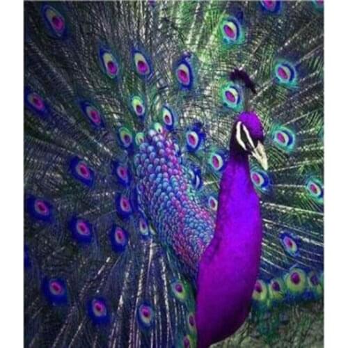 5D DIY Diamond Painting Embroidery Purple-Blue Peacock Full Square Diamond Cross Stitch Rhinestone Mosaic Painting GJ432