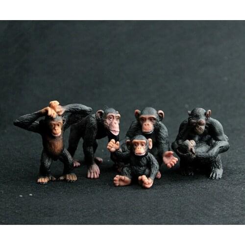 5pcs/set Animal Model Toy Set Action Figures Toys for Collection Chimpanzee Model Kids Learning Educational Toys Children Gifts