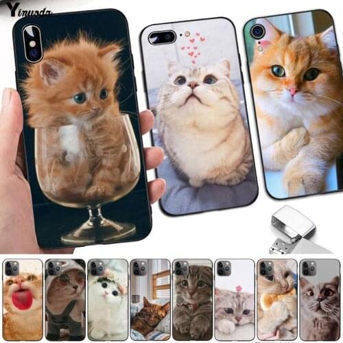 Yinuoda Cute Cat Kitten black Phone Case Hull for iPhone 8 7 6 6S Plus X 5 5S SE 2020 XR 11 pro XS MAX