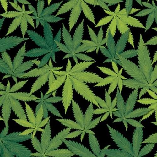 Free shipping TSMX380 0.5m*2m/10m green leaves pattern hydrographic printed film water transfer film