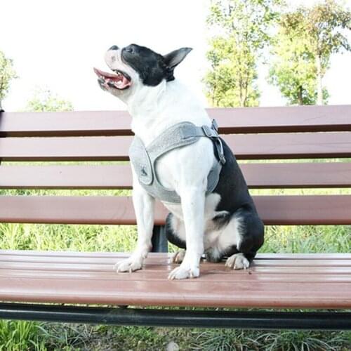 Dog Reflectiv Harness Breathable Harness Vest Small Dog Pet Harness and Leash Set Puppy Cat Vest Harness Collar