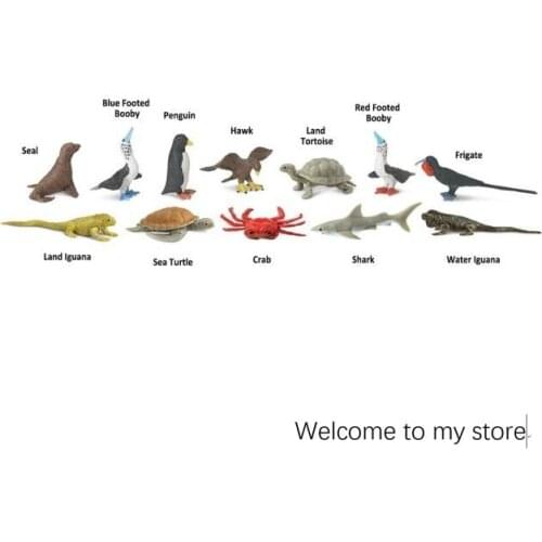 Pvc figure Galapagos animal toy model set