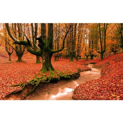 YIKEE diamond painting Woods,diy diamond painting,5d diamond painting new arrivals k033