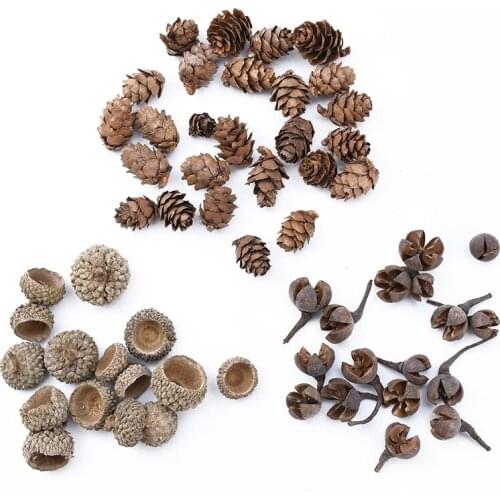 20pcs Natural Dried Plants Pine Cone Acorn Wholesale Artificial Flower For Home Christmas DIY Garland Wreath Wedding Decoration