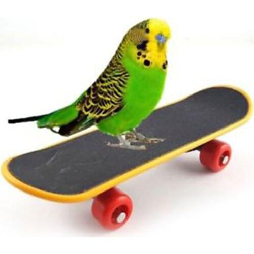 Dougez Skateboards And Scooters