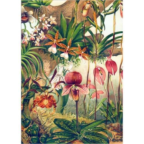 Orchids - Counted Cross Stitch Kits - DIY Handmade Needlework for Embroidery 14 ct Cross Stitch Sets DMC Color