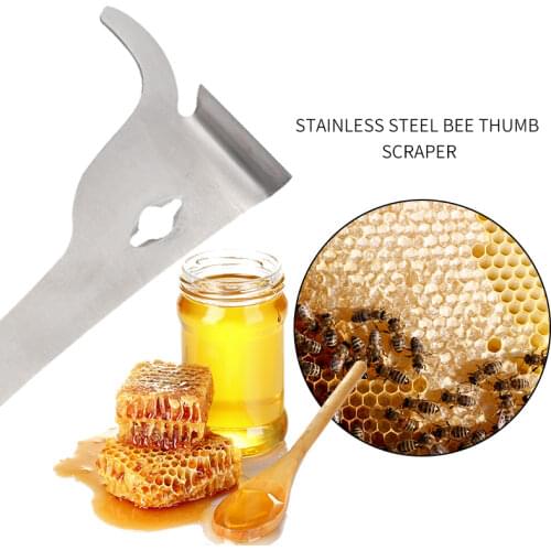 Arrival 1PC Stainless Steel Queen Bee BeeHive Scraper Beekeeping Bee Proof Suits Beekeeper Hive Tool Bee tools Beekeeping equip