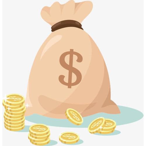 This is a special payment link on your order which is agreed by both the seller and buyer