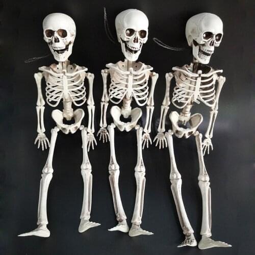 40cm Halloween Decoration Posable Halloween Skeletons Full Body Posable Joints Skeletons for Halloween Decor Haunted House
