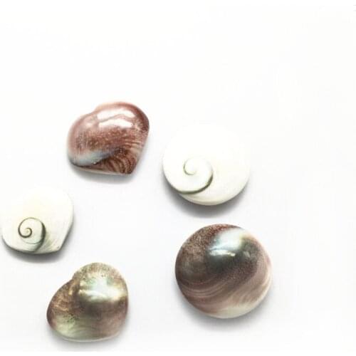 Wholesale Natural Sun Shell Fossil Slices Pendant Conch Shell Mineral Specimens Raw Stone Heart