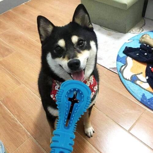 New Sell Pets Dog Bone-shaped silicone pet grooming toothbrush Chew Brushing Toy Tooth Cleaning Teeth Oral hygiene Care products