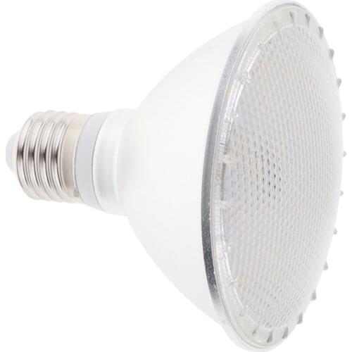 IP65 LED Dimmable PAR30 Light Bulb with Warm White E27 Aluminum