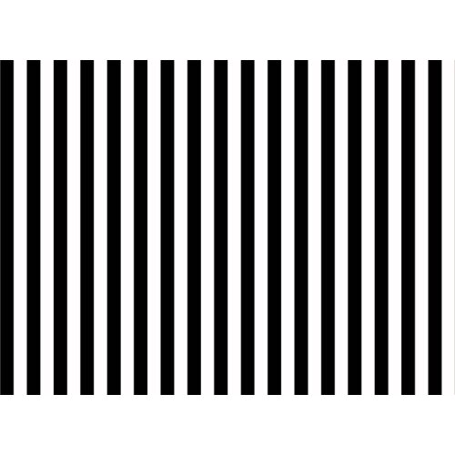 TR 8x8FT Indoor Room White Black Stripes Backdrop Zebra Wall Wedding Custom Photography Backgrounds Studio Backdrop Prints Vinyl