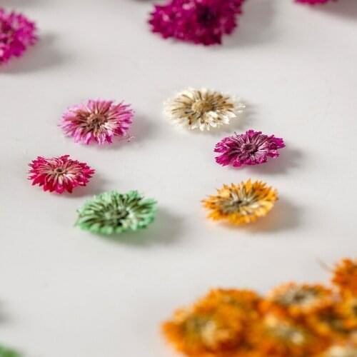 120pcs Pressed Dried Anaphalis Flower Plants For Epoxy Resin Pendant Necklace Jewelry Making Craft DIY Accessories
